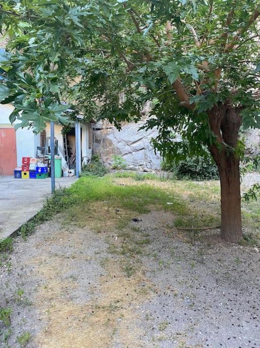 Appt 4 Pers Avec Jardin Ombrage En Centre Ville De แซ็ต ภายนอก รูปภาพ